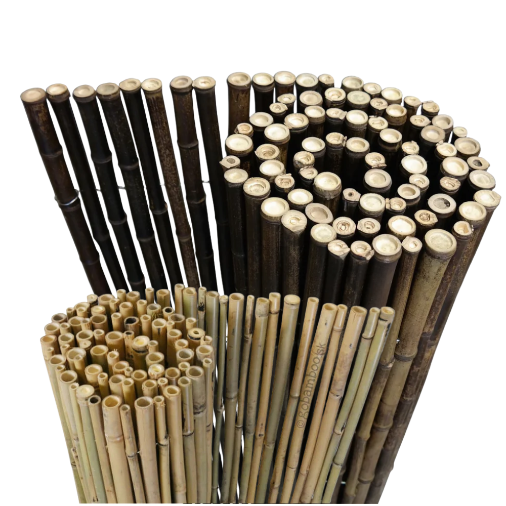 Bambusové ploty v rolkách