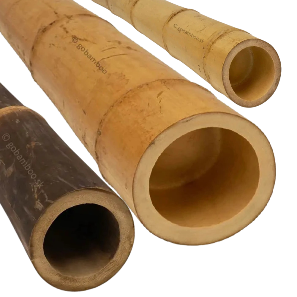 Bambusové tyče